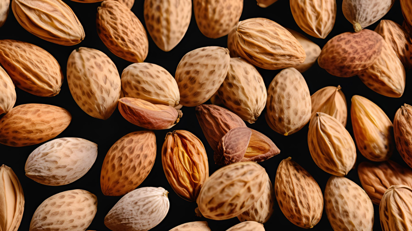 Kashmiri Mamra Almonds with Shell